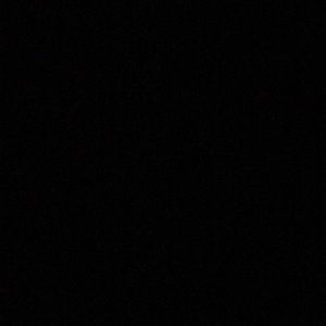 Meet your Posher, Cody